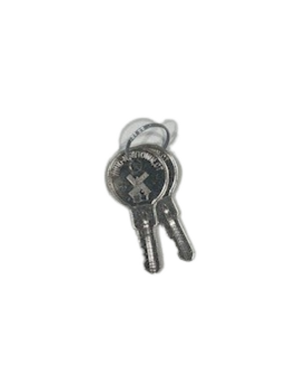 Replacement keys for GGI Brand dispensers & receptacles